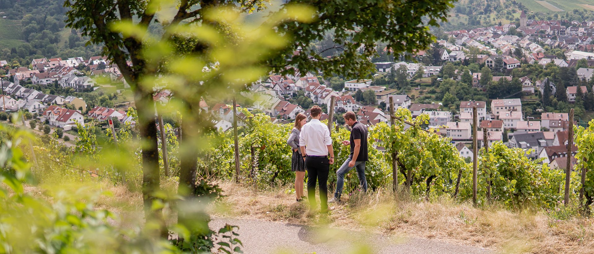 Regionale Lieferanten und Erzeuger Regionale Lieferanten und Erzeuger