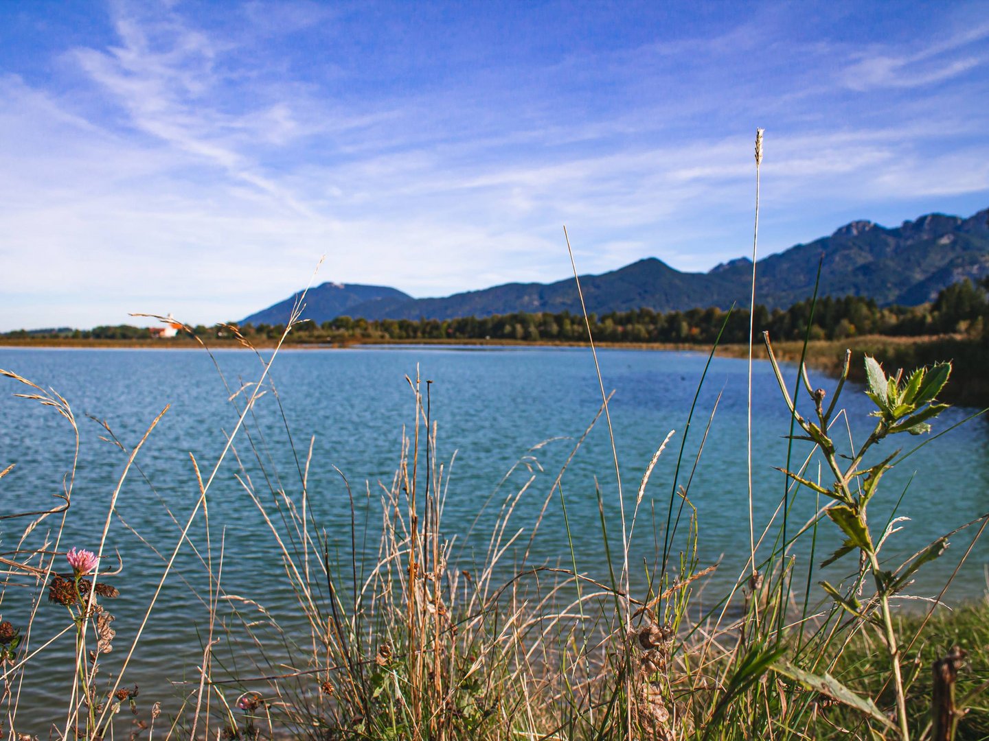 Kinderhotel im Allgäu: Auszeichnungen See mit Gräsern im Vordergrund und Bergen im Hintergrund bei blauem Himmel