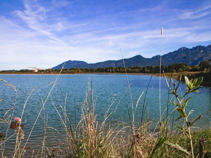 Windsurfen auf dem Forggensee Windsurfen auf dem Forggensee