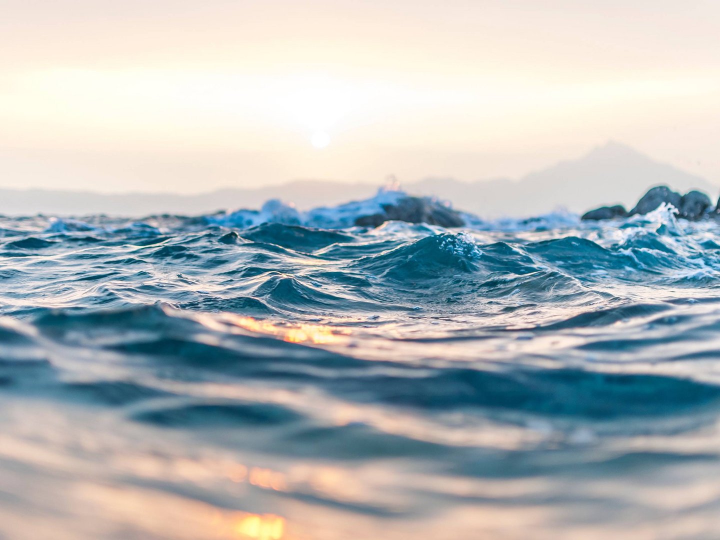 Windsurfen auf dem Forggensee Windsurfen auf dem Forggensee