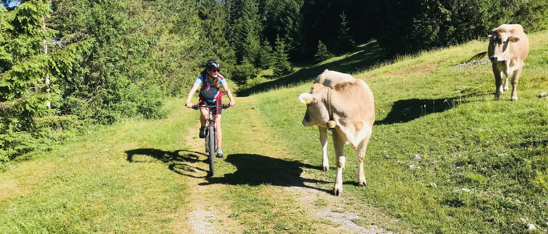 Sommerurlaub im Allgäu | Hotel Sommer Sommerurlaub im Allgäu | Hotel Sommer