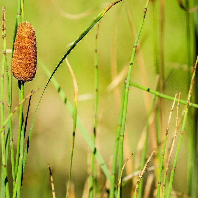 Die schönsten Seen im Allgäu Die schönsten Seen im Allgäu