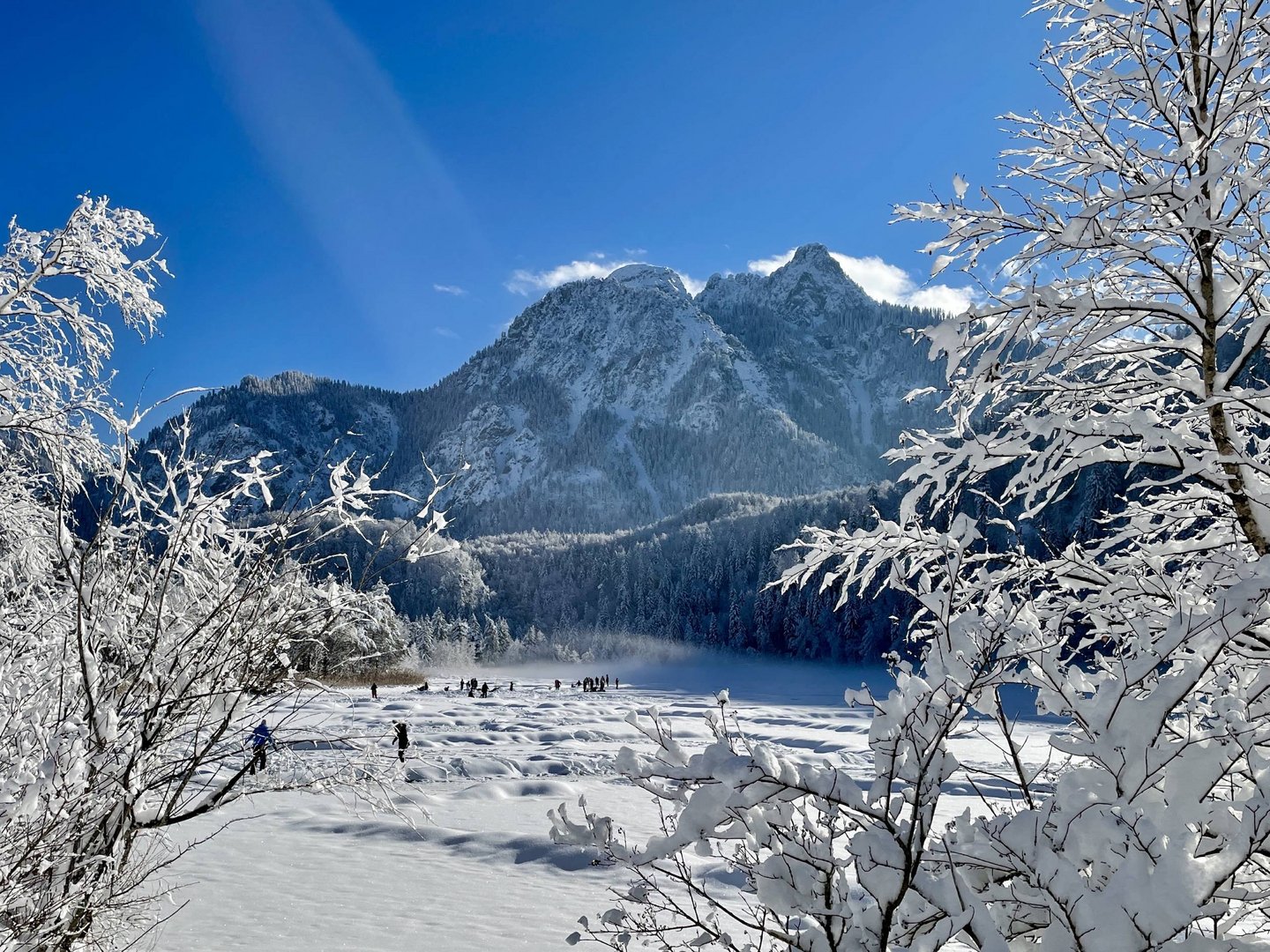 Eislaufen in Füssen | Hotel Sommer Eislaufen in Füssen | Hotel Sommer