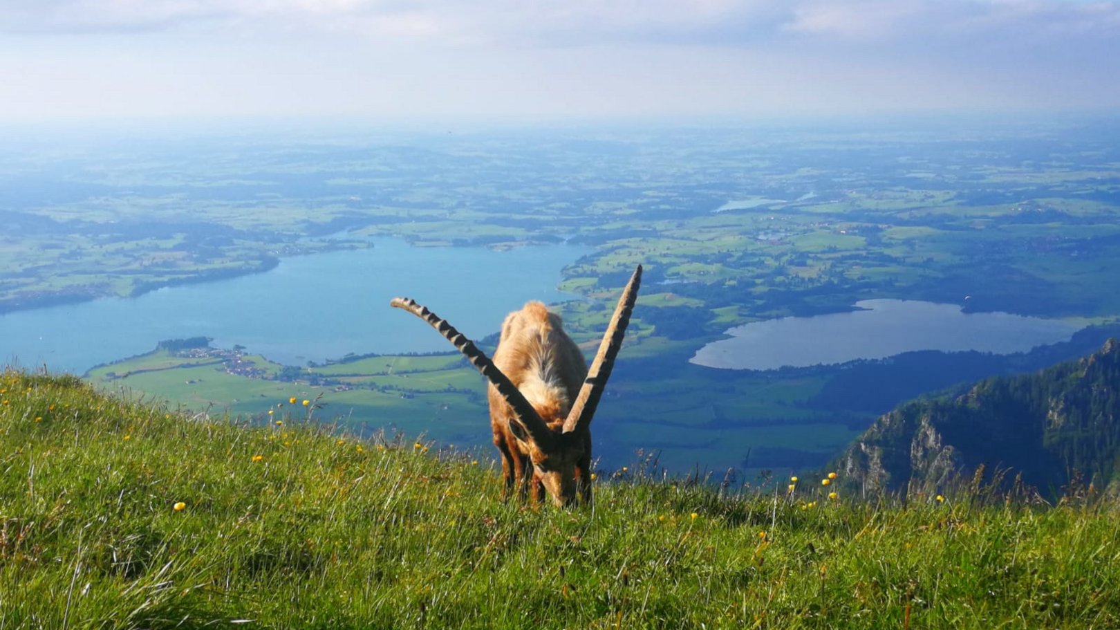 Wanderurlaub im Allgäu | Hotel Sommer Füssen Wanderurlaub im Allgäu | Hotel Sommer Füssen
