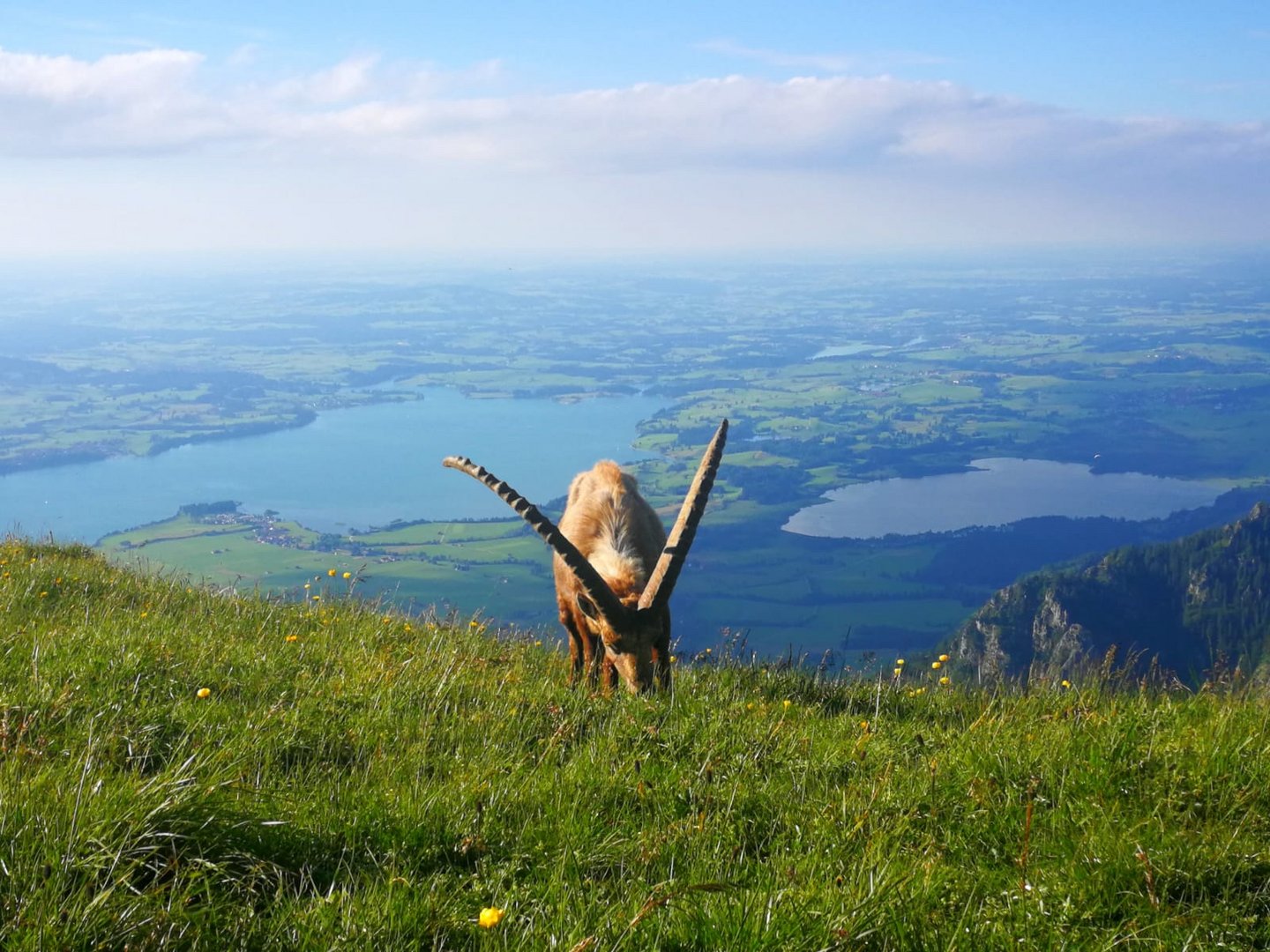 SommerCard – Ihr Hotel im Allgäu SommerCard – Ihr Hotel im Allgäu