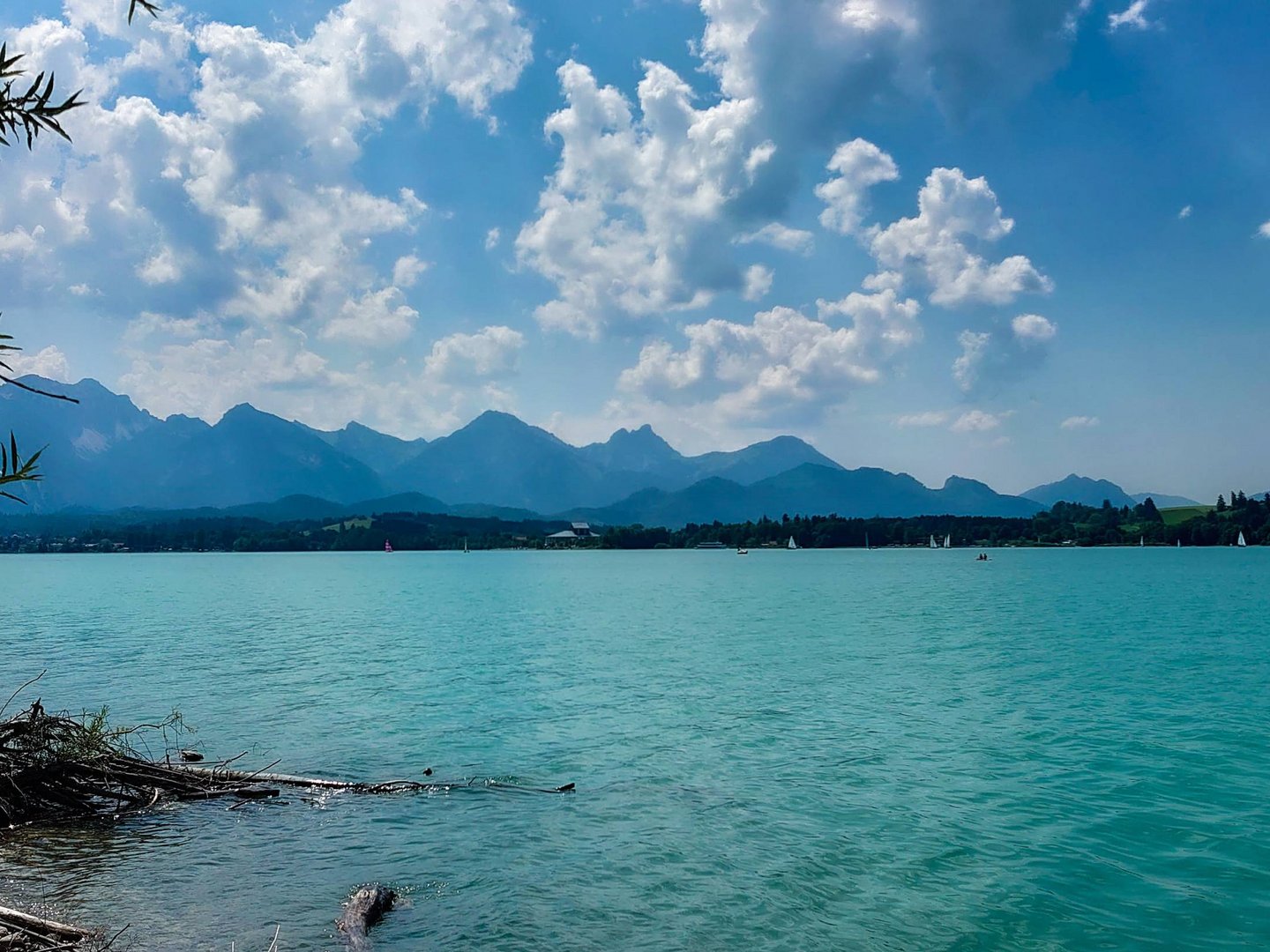 Windsurfen auf dem Forggensee Windsurfen auf dem Forggensee
