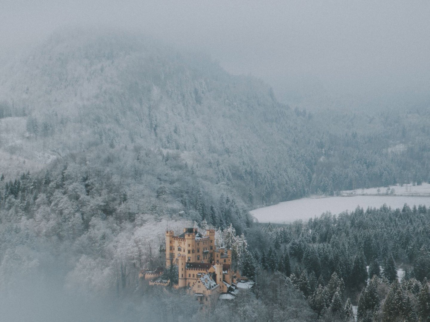 Winteraktivitäten rund um das Hotel Sommer Schloss in verschneitem Wald mit Nebel und Bergen im Hintergrund