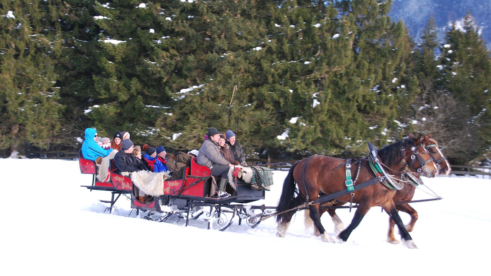 Winteraktivitäten rund um das Hotel Sommer Menschen auf einer Pferdeschlittenfahrt durch verschneite Landschaft mit Tannenbäumen