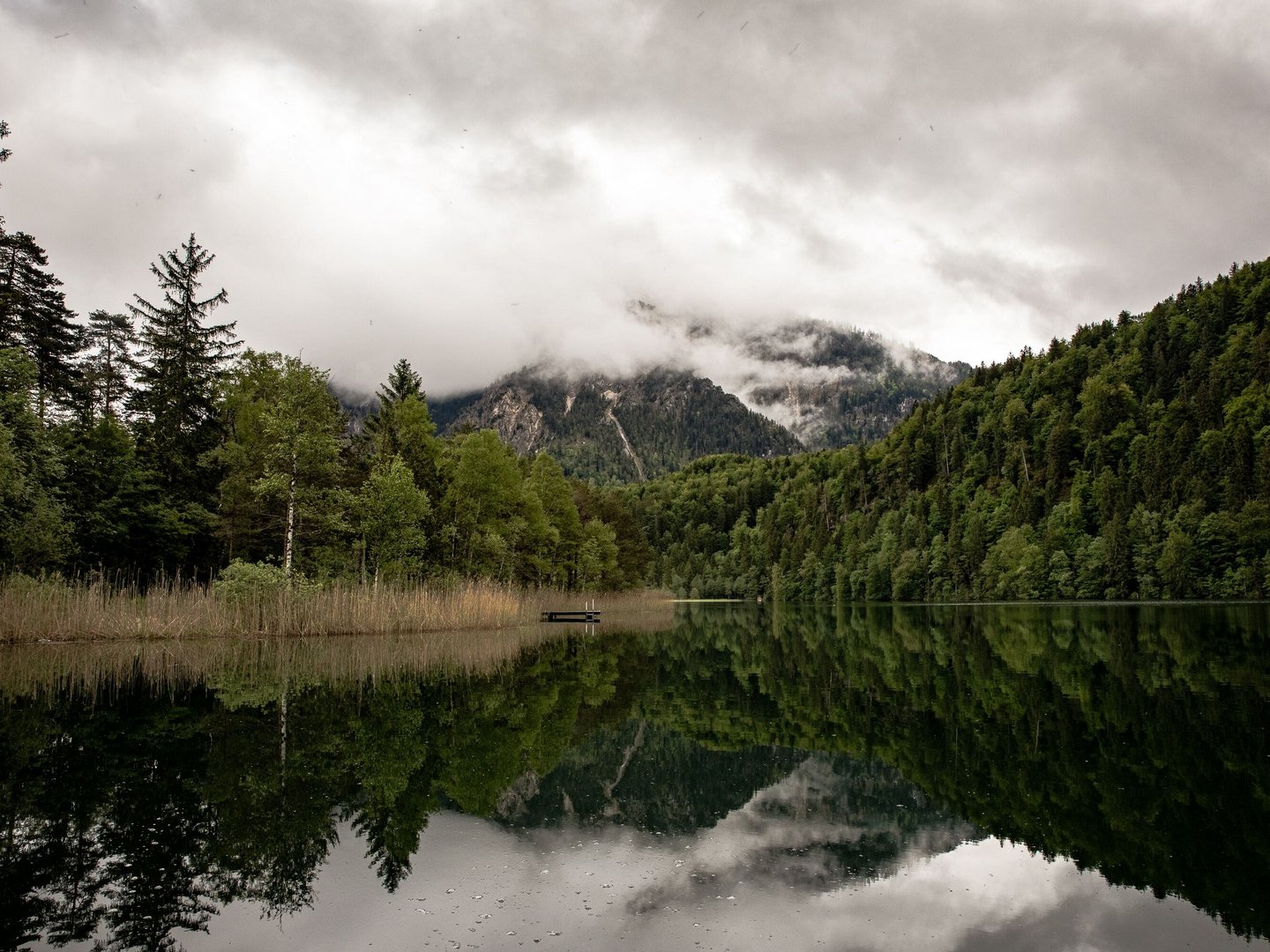Direkt am Forggensee | Hotel Sommer Direkt am Forggensee | Hotel Sommer