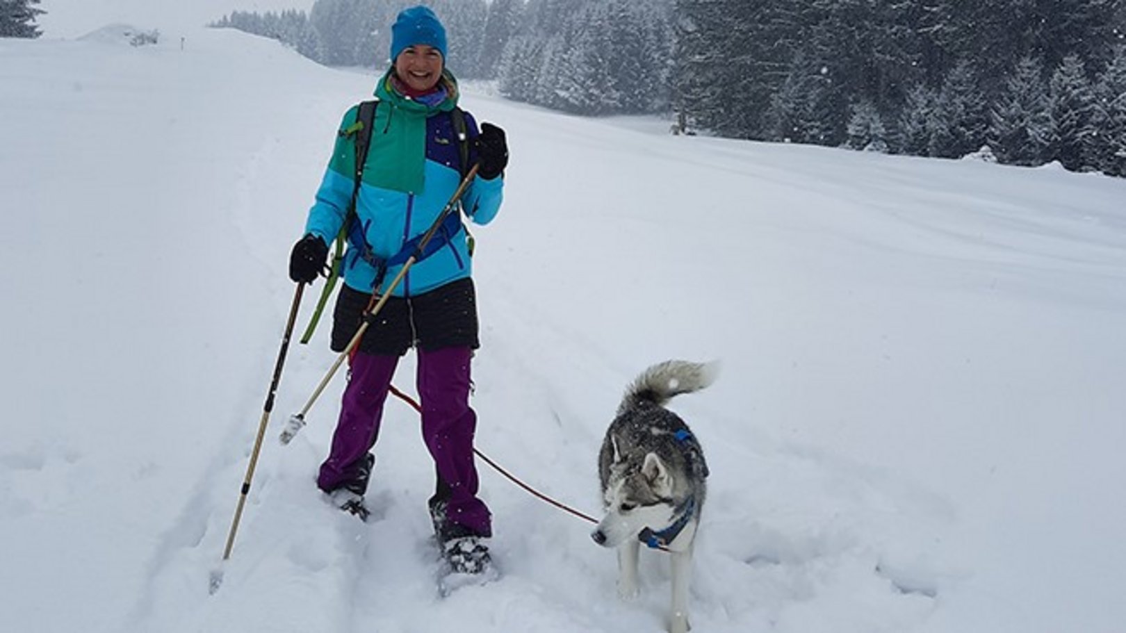 Winteraktivitäten rund um das Hotel Sommer Frau mit Schneeschuhen und Hund im verschneiten Wald