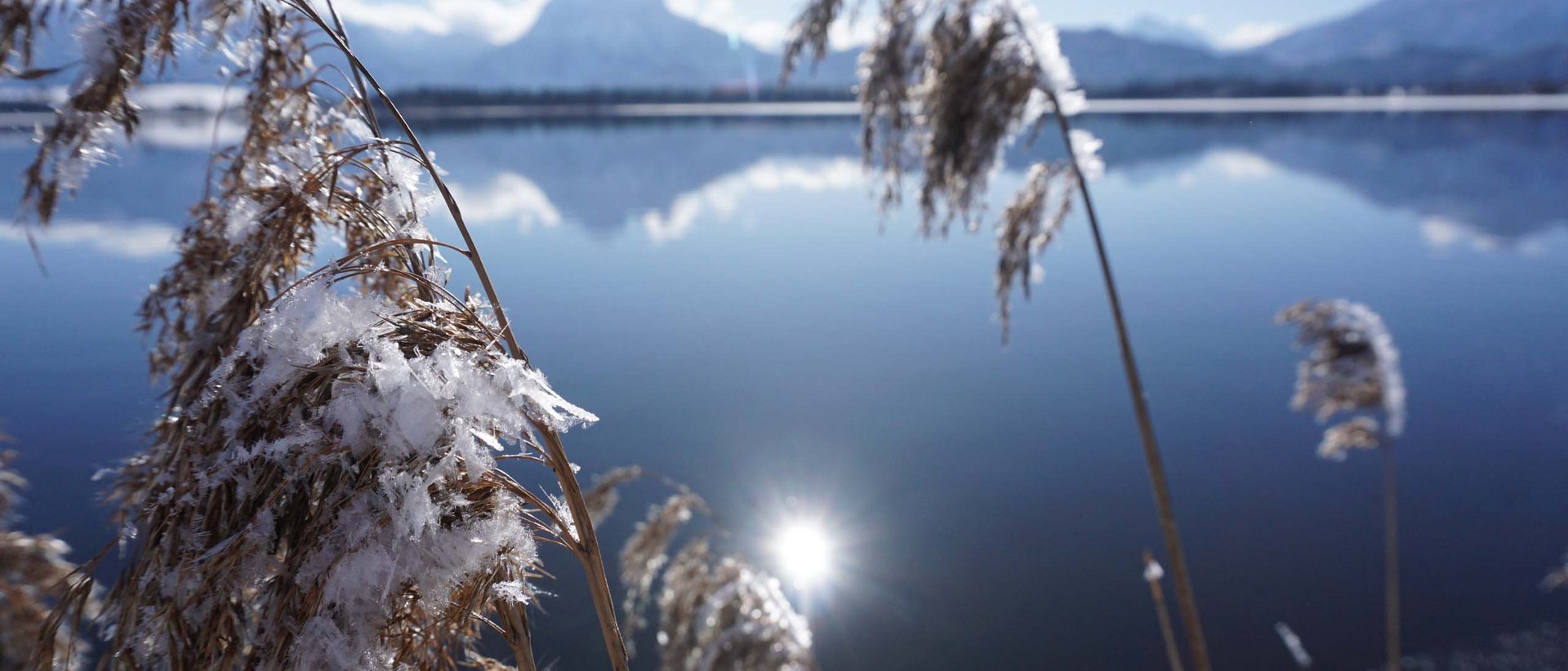 Familienhotel in Bayern: Hotel Sommer