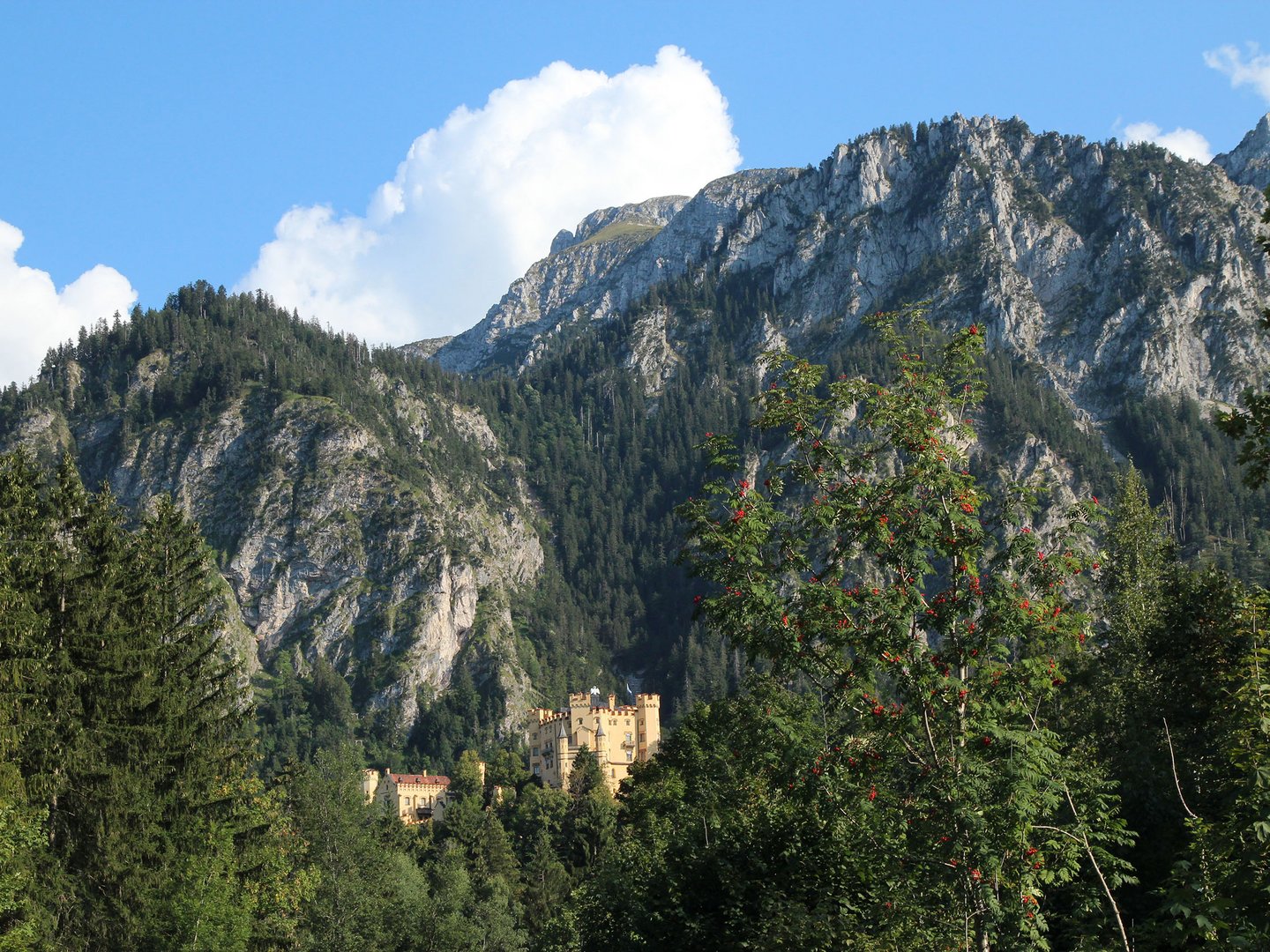 Das Märchenschloss Neuschwanstein beim Hotel Sommer Das Märchenschloss Neuschwanstein beim Hotel Sommer