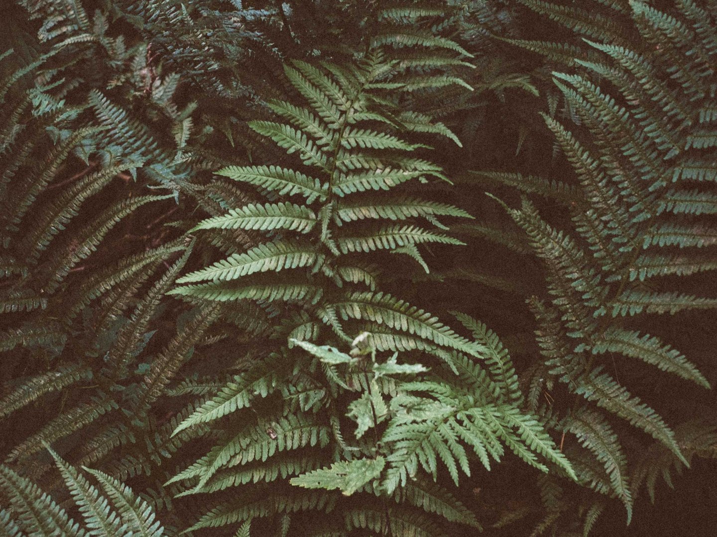 Walderlebniszentrum – Ihr Hotel im Allgäu Walderlebniszentrum – Ihr Hotel im Allgäu