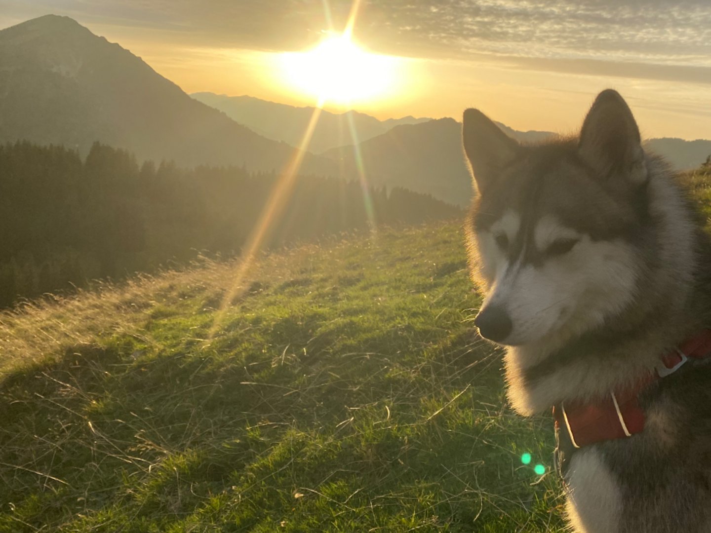 Wanderurlaub im Allgäu | Hotel Sommer Füssen Wanderurlaub im Allgäu | Hotel Sommer Füssen