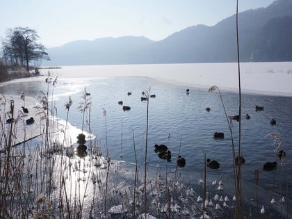 Die Suite im Wellnesshotel Sommer – Luxus in Allgäu! Die Suite im Wellnesshotel Sommer – Luxus in Allgäu!