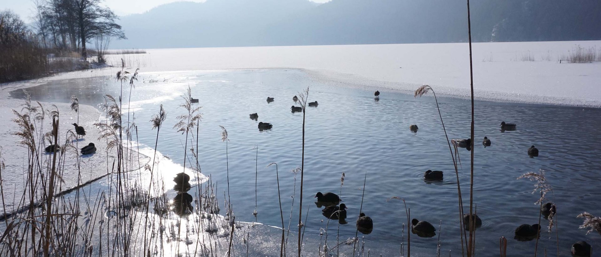 Direkt am Forggensee | Hotel Sommer