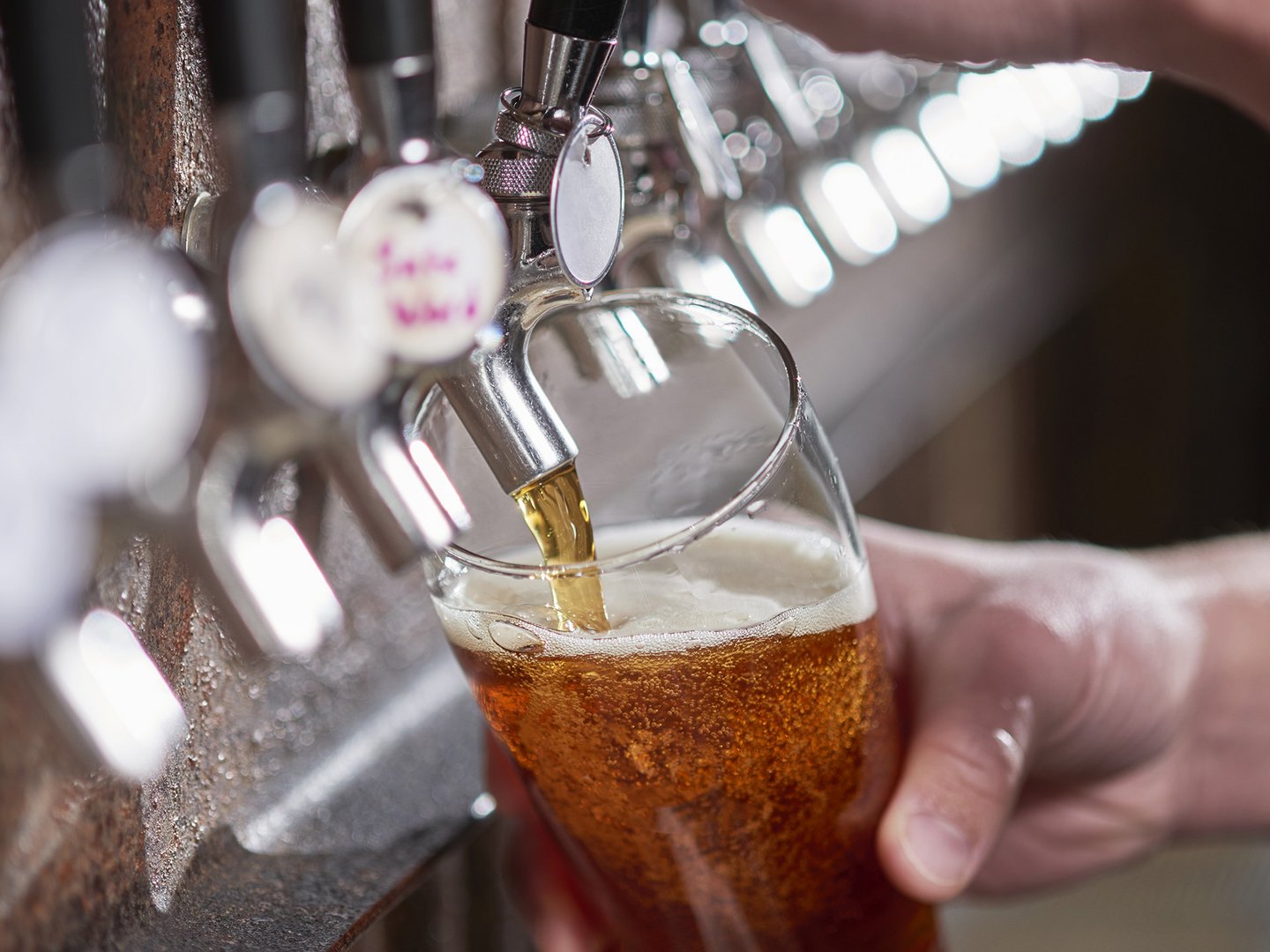 Regionale Lieferanten und Erzeuger Regionale Lieferanten und Erzeuger