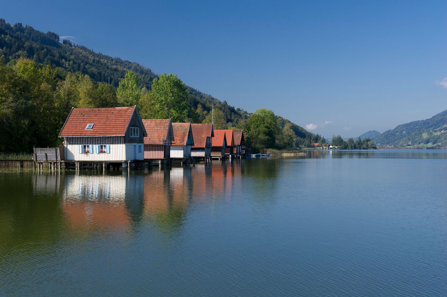 Alpsee Alpsee