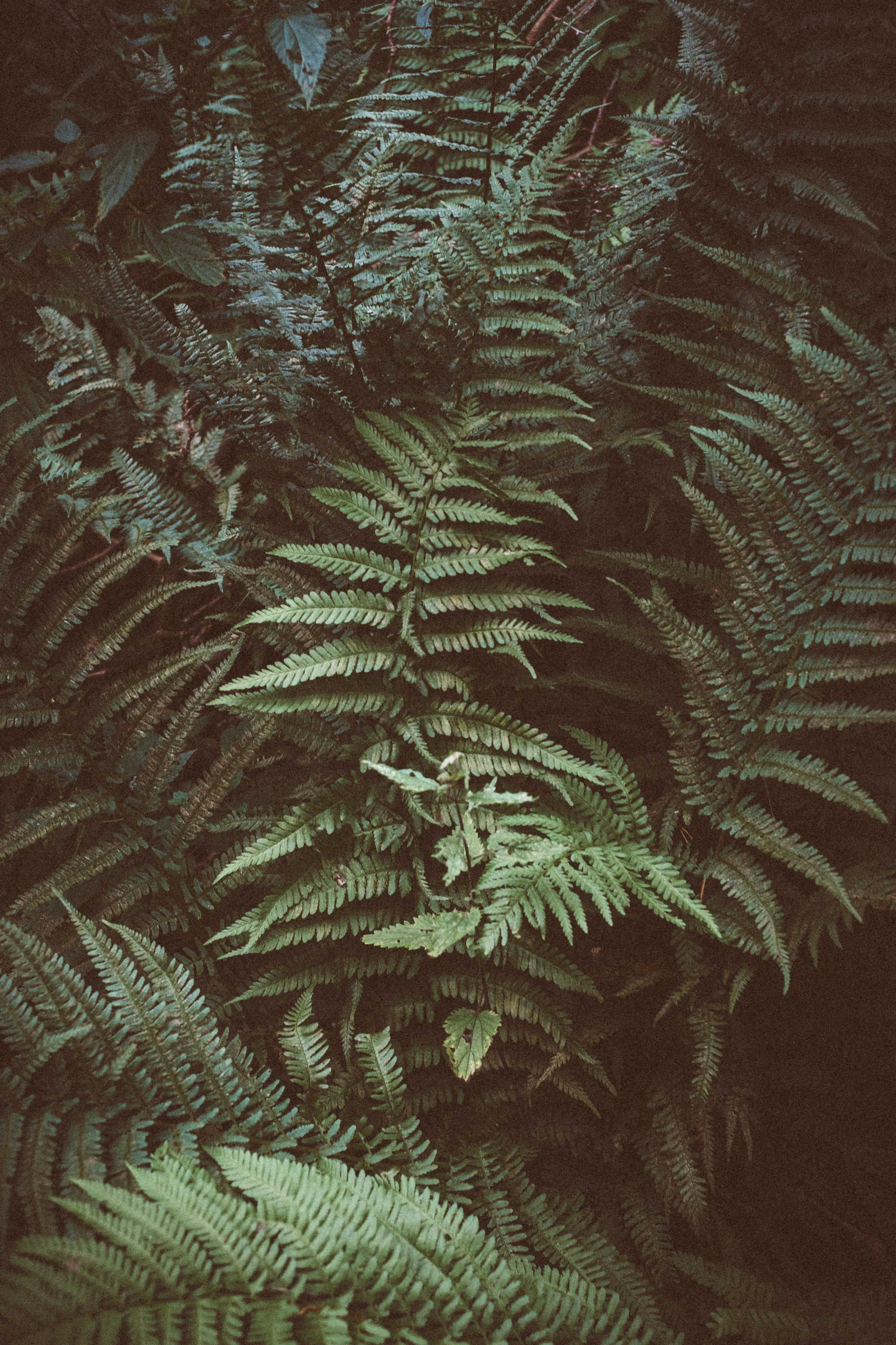 Walderlebniszentrum – Ihr Hotel im Allgäu Walderlebniszentrum – Ihr Hotel im Allgäu