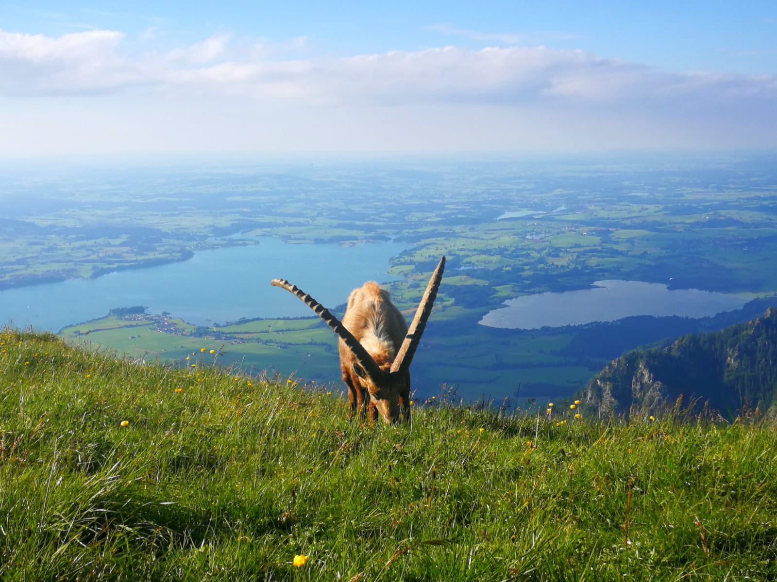 Wanderurlaub im Allgäu | Hotel Sommer Füssen Wanderurlaub im Allgäu | Hotel Sommer Füssen